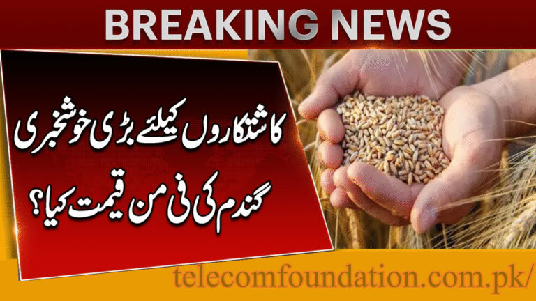 Punjab Government Wheat Price