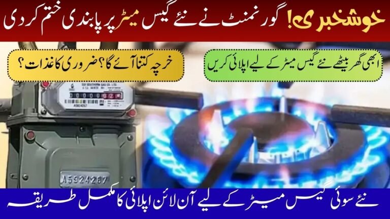 SNGPL Digital System for Domestic LNG Connections in 2025