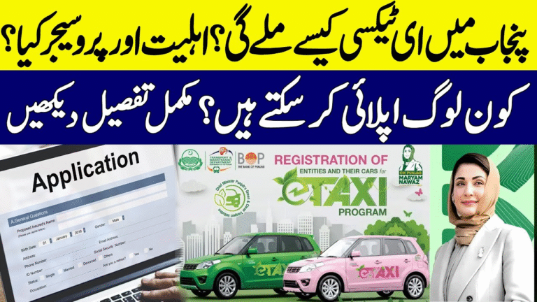 CM Punjab E-Taxi Scheme