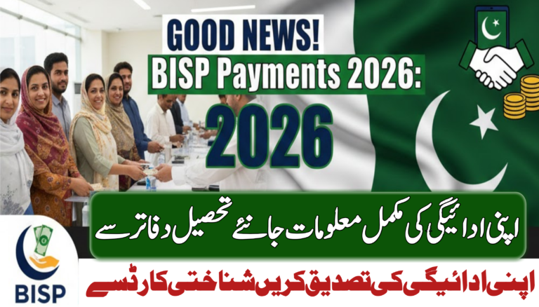 BISP Payment Distribution