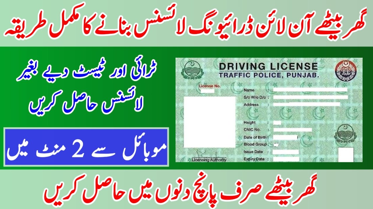 DLIMS Punjab e-license system