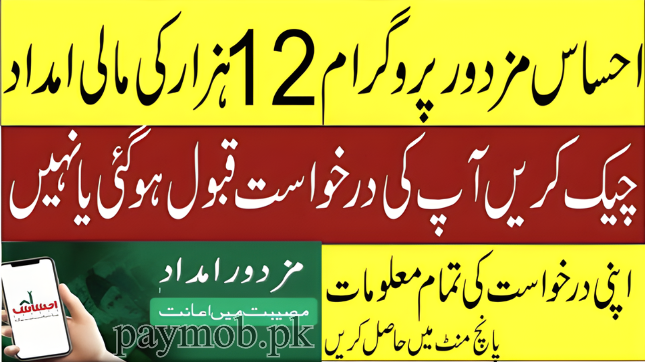 Ehsaas Labour Program 13500