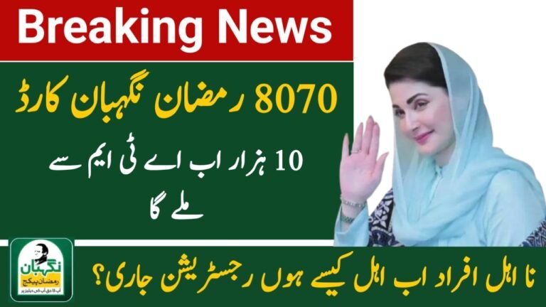 PSER Eligibility Check 2026 by CNIC on PSER Punjab Gov Pk